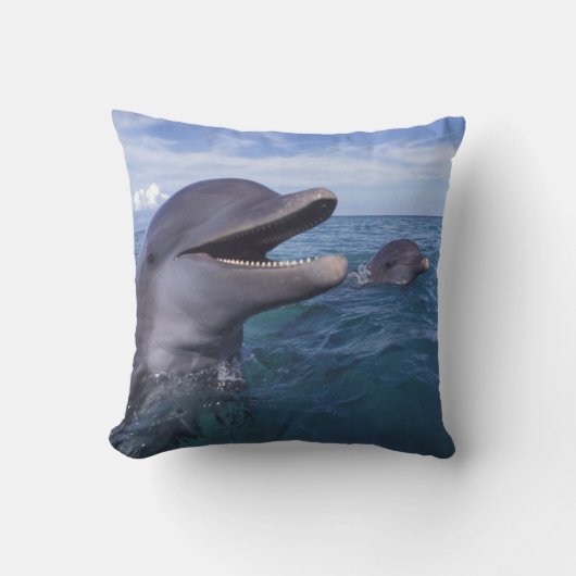 カリブ海カマイルカ クッション (正面)
