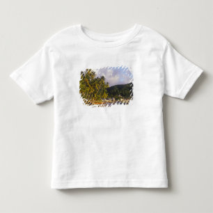 カリブ海セントルシア島スーフリエールの漁船 トドラーTシャツ