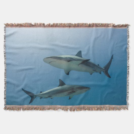 カリブ海リーフシャーク スローブランケット (正面)