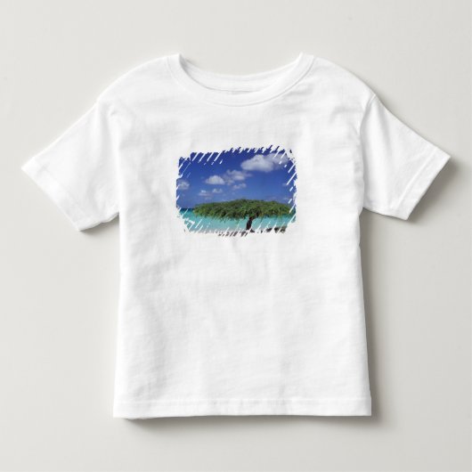 カリブ海、アルバ。イーグルビーチ トドラーTシャツ (正面)