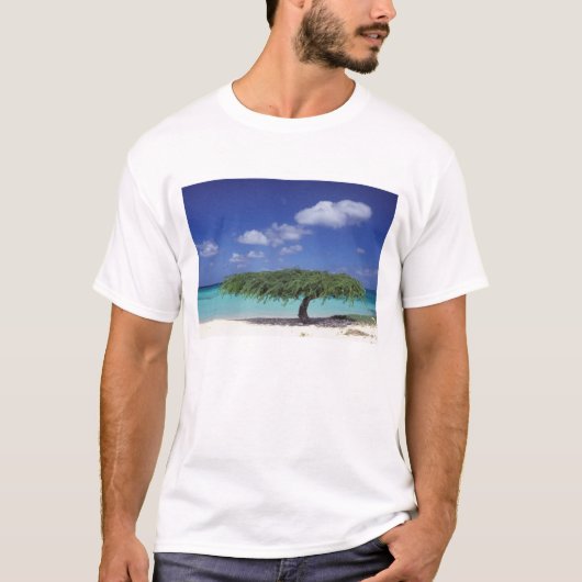 カリブ海、アルバ。イーグルビーチ Tシャツ (正面)