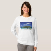 カリブ海、アルバ。イーグルビーチ Tシャツ (正面フル)