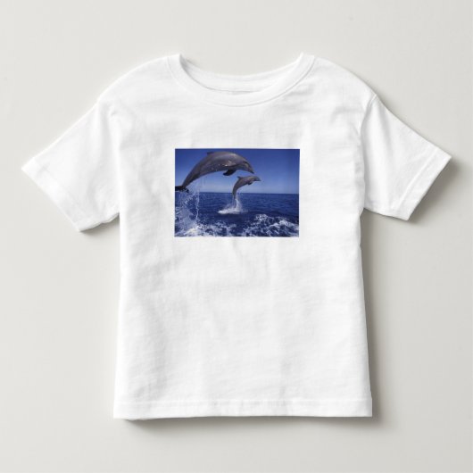 カリブ海、カマイルカ トドラーTシャツ (正面)