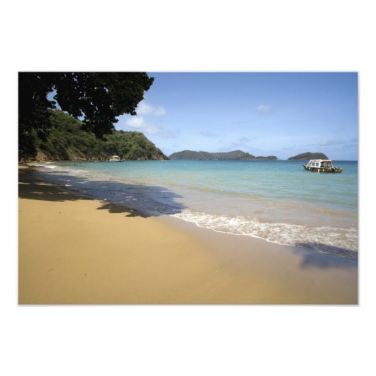 カリブ海 - トバゴ - 大西洋沿いのビーチ フォトプリント (正面)