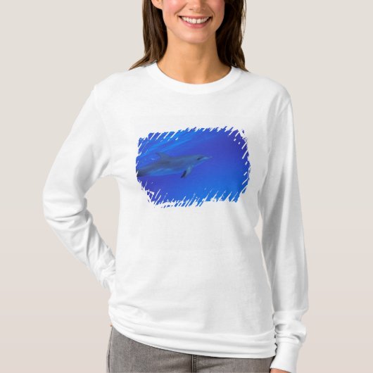 カリブ海、バハマ シャチ Tシャツ (正面)