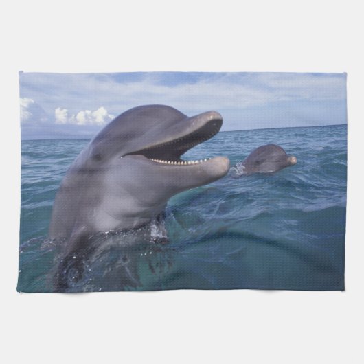 カリブ海、バンドウイルカ キッチンタオル (横)