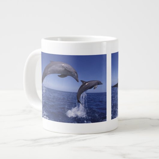 カリブ海、バンドウイルカ ジャンボコーヒーマグカップ (正面左)