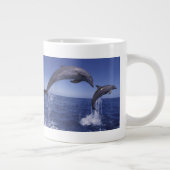 カリブ海、バンドウイルカ ジャンボコーヒーマグカップ (右)