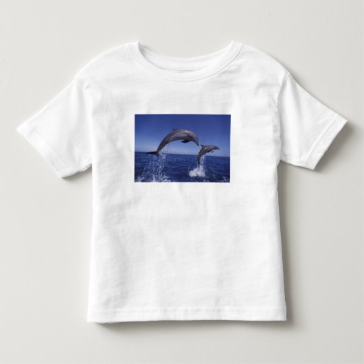 カリブ海、バンドウイルカ トドラーTシャツ (正面)