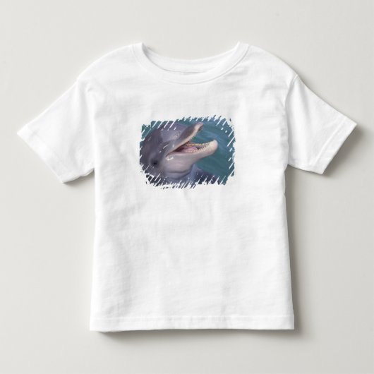 カリブ海、バンドウイルカ トドラーTシャツ (正面)