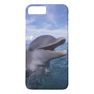 カリブ海,バンドウイルカ iPhone 8 PLUS/7 PLUSケース