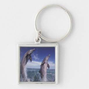 カリブ海 バンドウイルカ Tursiops キーホルダー
