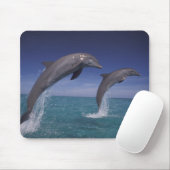 カリブ海 バンドウイルカ Tursiops マウスパッド (マウス)