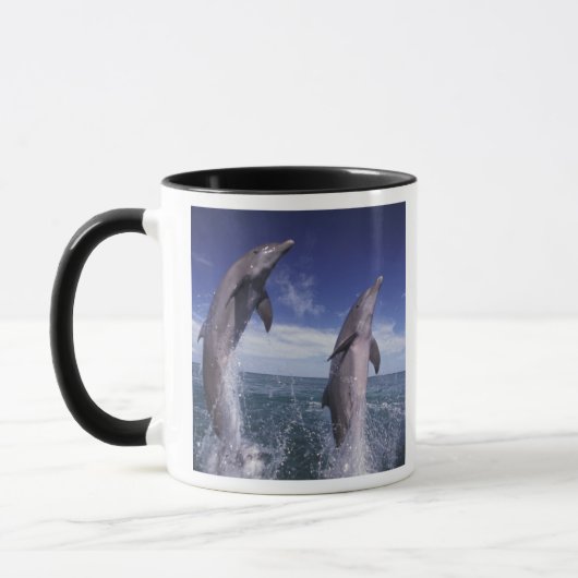 カリブ海 バンドウイルカ Tursiops マグカップ (左)