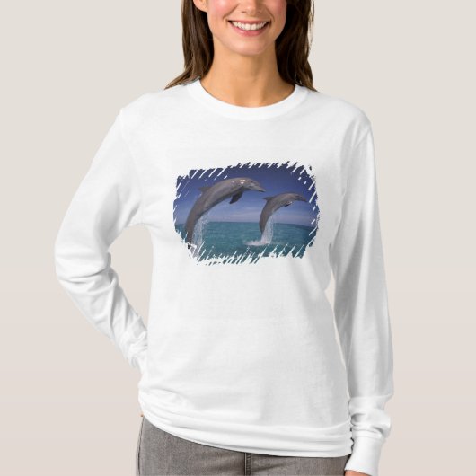 カリブ海 バンドウイルカ Tursiops Tシャツ (正面)