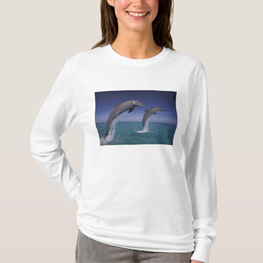 カリブ海 バンドウイルカ Tursiops Tシャツ (正面)