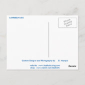 カリブ海　ポストカード ポストカード (裏面)