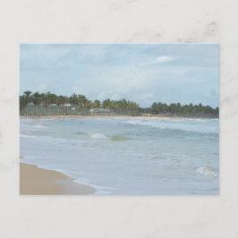 カリブ海 ポストカード 20