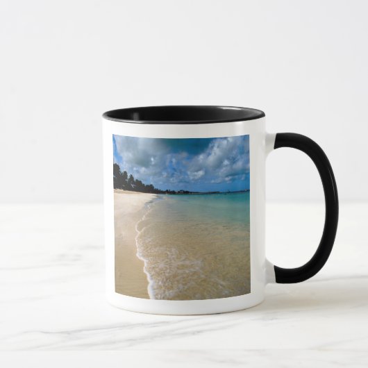 カリブ海, リーワード諸島, アンティグア島, ディケンソン マグカップ (右)
