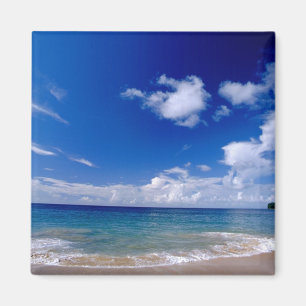 カリブ海, リーワード諸島, 西インド諸島, マグネット