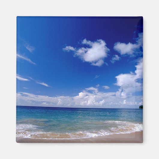 カリブ海, リーワード諸島, 西インド諸島, マグネット (正面)