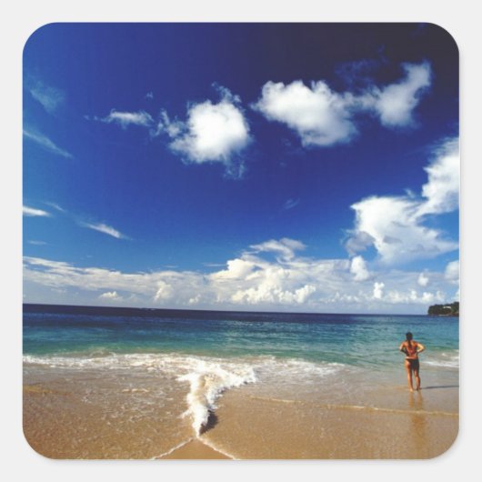 カリブ海, リーワード諸島, 西インド諸島, 2 スクエアシール (正面)