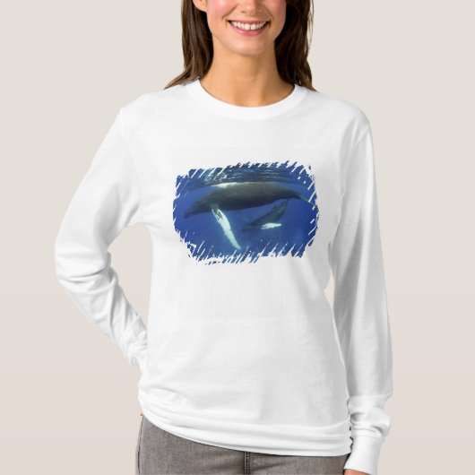 カリブ海, 大アンティル諸島 Tシャツ (正面)