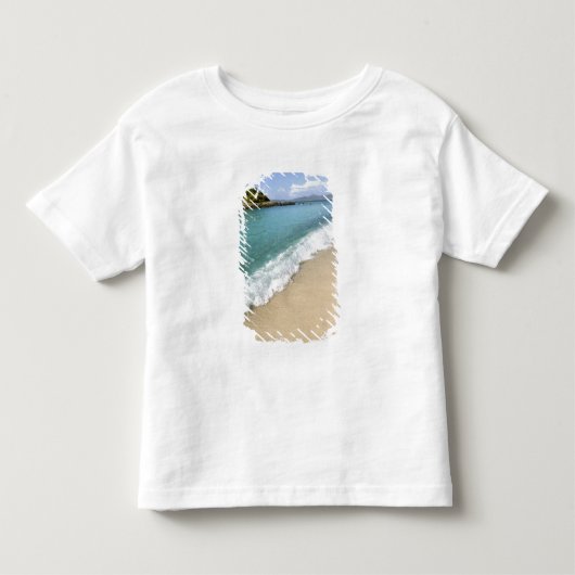 カリブ海、米領バージン諸島、セントジョン島、 トドラーTシャツ (正面)