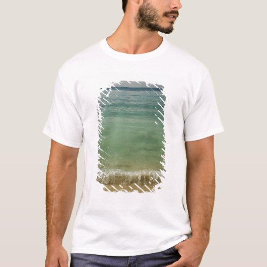 カリブ海、米領バージン諸島、セント・トーマス島、4 Tシャツ (正面)