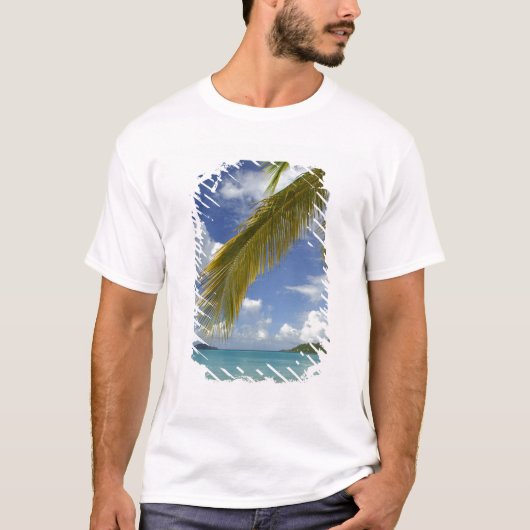 カリブ海、米領バージン諸島、セント・トーマス島、 Tシャツ (正面)