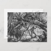 カリプナインディアンとタペール ポストカード (正面/裏面)