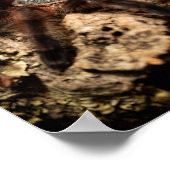 カリベナバーシカラーピンクトウタランチュラ ポスター (角)