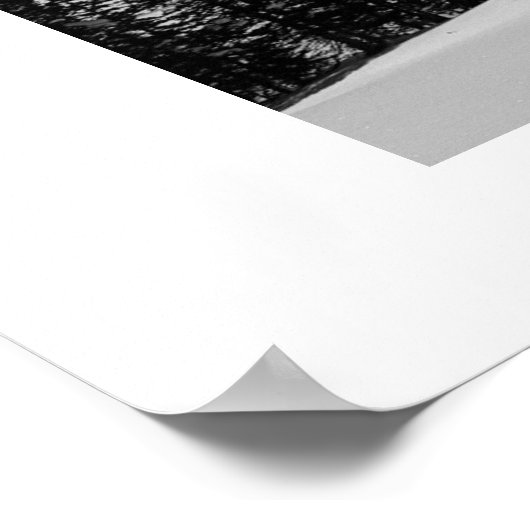 カリボス：風のリー ポスター (角)