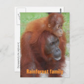 カリマンタンインドネシア熱帯雨林ファミリー ポストカード (正面/裏面)