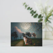 カリムーン ポストカード (スタンド正面)