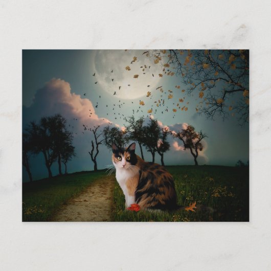 カリムーン ポストカード (正面)