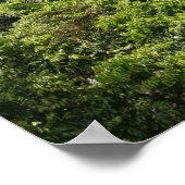 カリム滝。セントラル・トーゴ,西アフリカ2 ポスター (角)