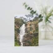 カリム滝。セントラル・トーゴ（西アフリカ） ポストカード (スタンド正面)