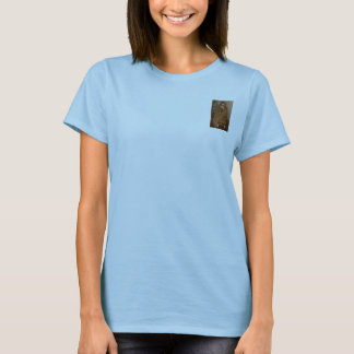 カリュプソーの秘密のティー Tシャツ