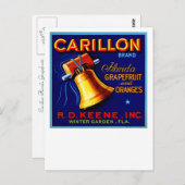 カリロンフロリダグレープフルーツ ポストカード (正面/裏面)
