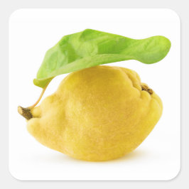 カリン果実 スクエアシール