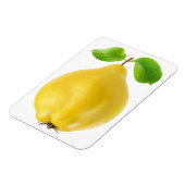 カリン果実 マグネット (左側)