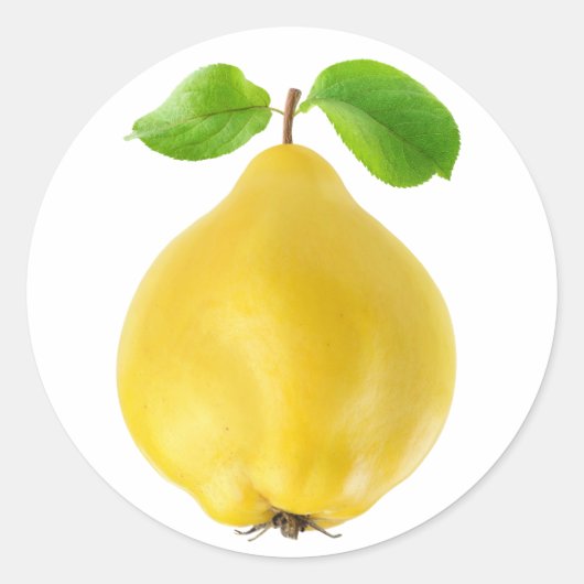 カリン果実 ラウンドシール (正面)