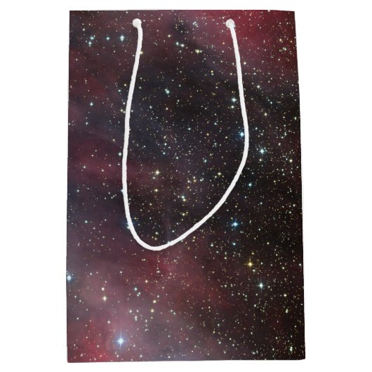 カリーナの星雲、オオカミRayetの星WR 22 ミディアムペーパーバッグ (正面)