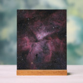 カリーナ星雲 アクリルサイン (ニュートラル)