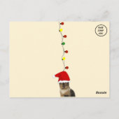 カリーマフィン間抜けキャットクリスマス ポストカード (裏面)