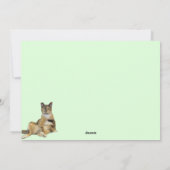 カリーマフィン間抜けザストレートキャットフラットカード シーズンカード (裏面)