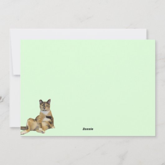 カリーマフィン間抜けザストレートキャットフラットカード シーズンカード (裏面)