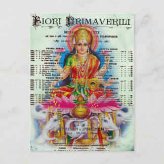 カリ ポストカード