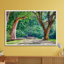 カルオステ・ガルベンキアン財団の庭園。 フォトプリント           